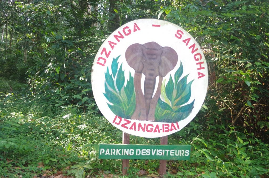 Partageant ses frontières avec le Cameroun et la République du Congo (Brazzaville), les Aires Protégées de Dzanga-Sangha sont parties intégrantes du Tri-National de la Sangha, l’un des plus importants sites de conservation transfrontalière dans le Bassin du Congo.